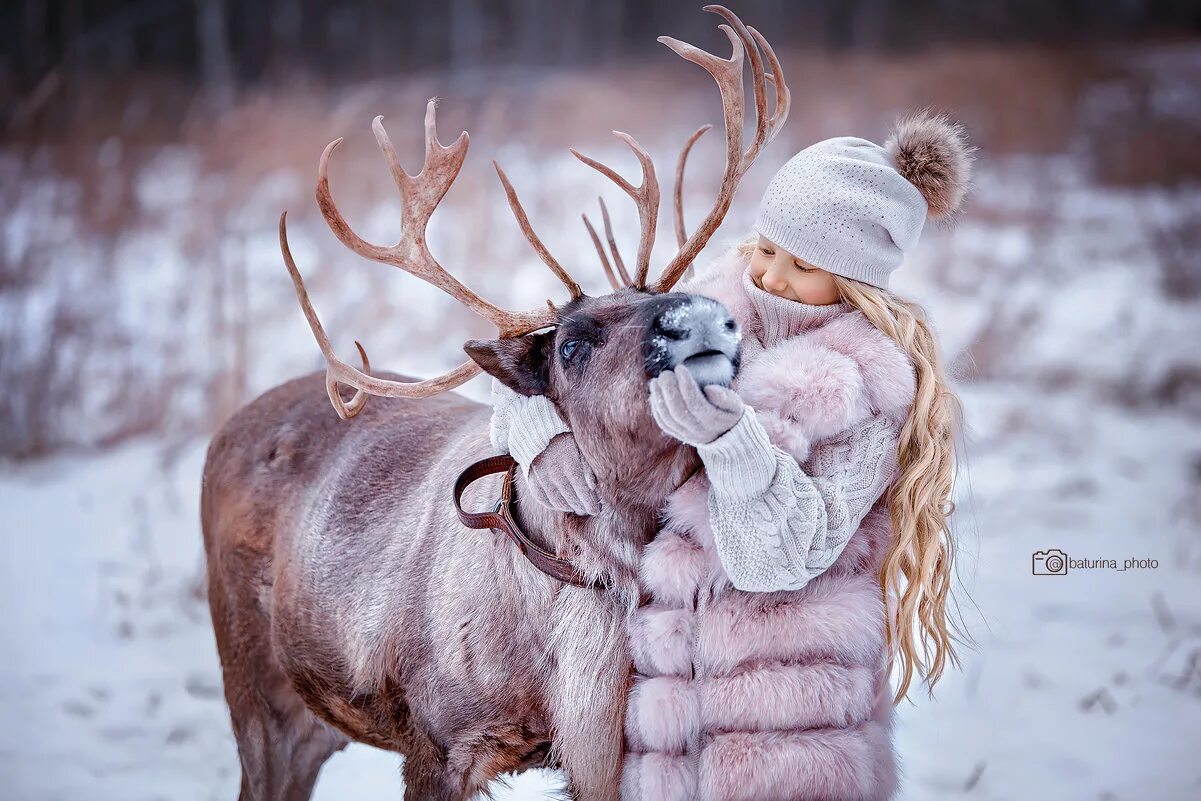 Девушка на олене. Фотосессия с оленем. Фотосессия с северным оленем. Фотосет с оленем.