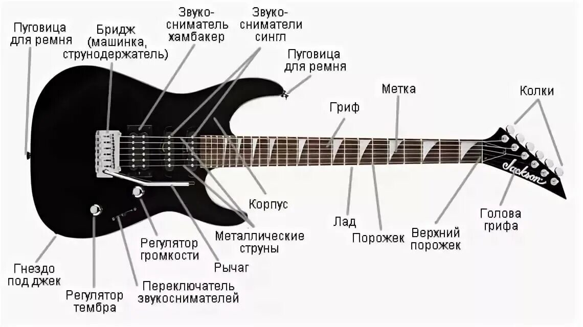 Строение электро бас гитары. Строение гитары электро. Состав электрогитары схема. Строение гитары электрогитары. Электрогитара звучание