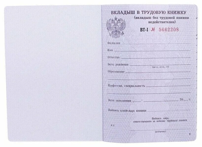 деревянные вкладыши для детей. вкладыш форма. вкладыш форма. вкладыши формы и цвета mapacha. вкладыш в трудовую книжку.