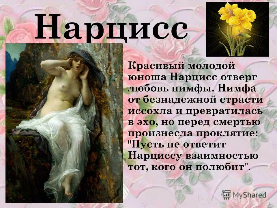 Нарциссы текст. Нарцисс мифы древней Греции. Миф о Нарциссе. Легенда о Нарциссе кратко. Древний миф о Нарциссе.