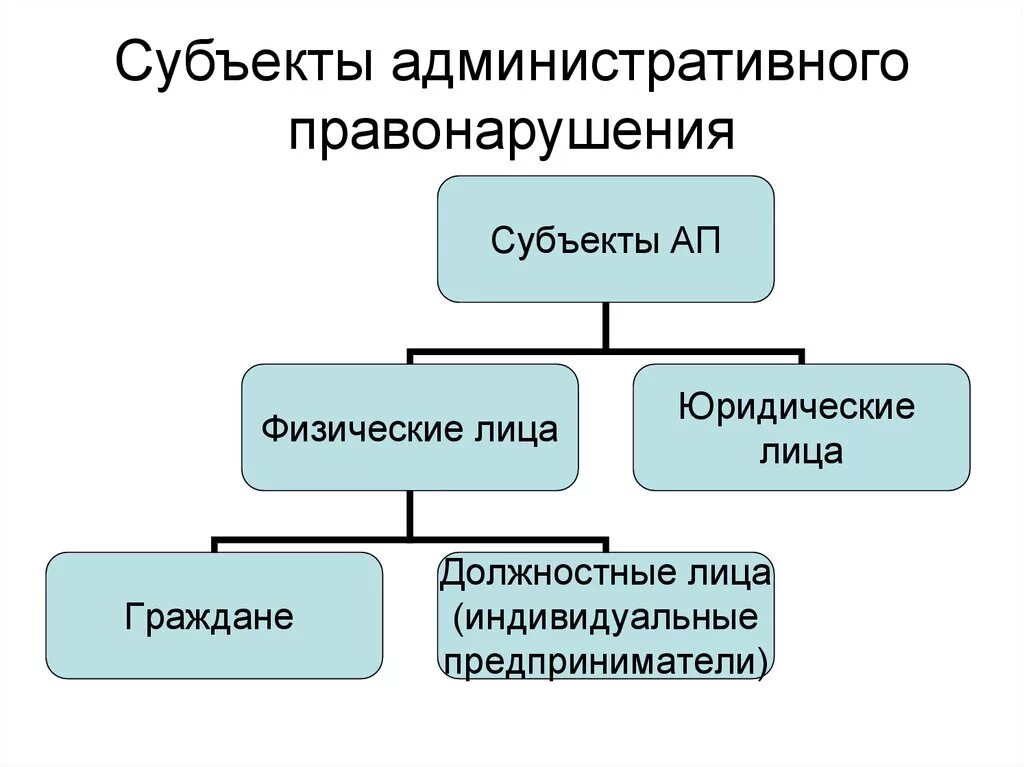 Признаки особого субъекта административного правонарушения. Понятие субъекта административного правонарушения. Субъектыдминистративного правонарушения. Административный проступок субъект. Субъектом правонарушения признается