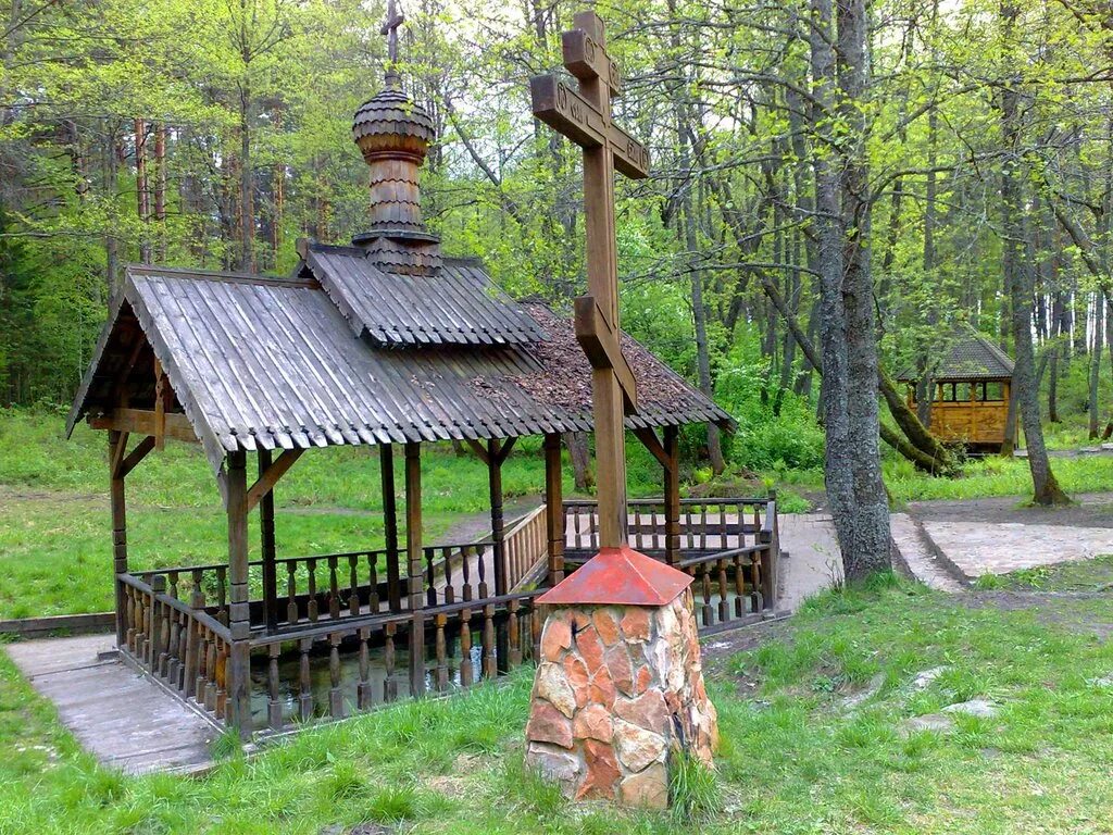 Орловское Полесье Родник. Орловское Полесье Родники. Национальный парк Орловское Полесье. Орел заповедник Орловское Полесье. Святой источник код