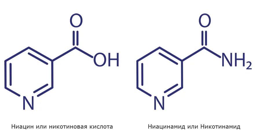 Витамин с с ниацинамидом можно. Производные ниацина. Ниацинамид витамин в3. Никотинамид и никотиновая кислота отличия. Ниацин формула.