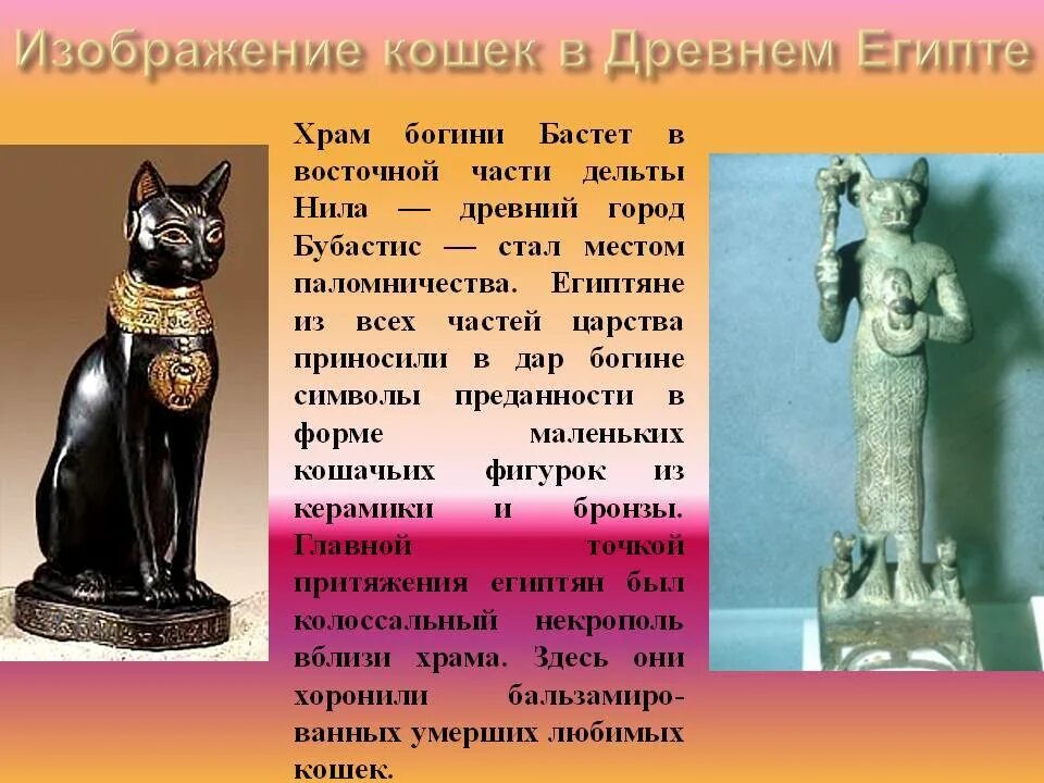 Как зовут египетскую кошку