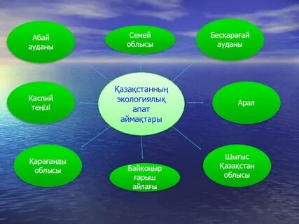 Сынып сағаттық жүйені реформалауды алғаш ұсынған кім