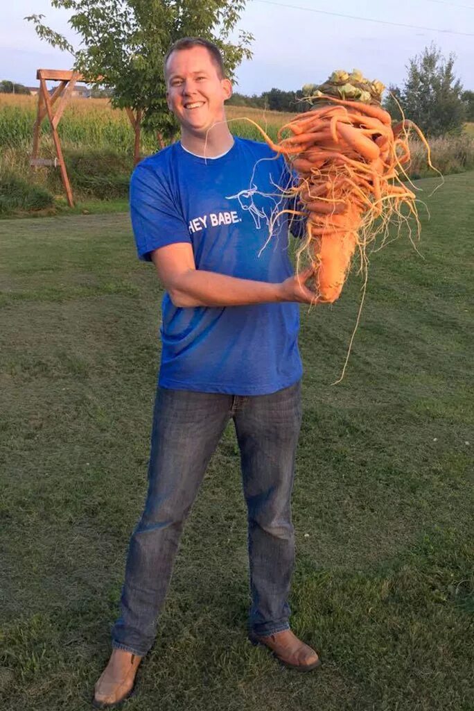 10 килограмм моркови. Самая большая морковь в мире рекорд Гиннесса. Самая большая морковь в мире книга рекордов Гиннесса. Большие морковки. Самая гигантская морковка.