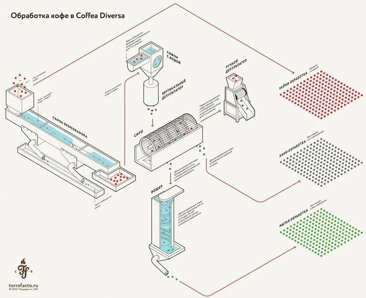 Как происходит процесс обработки кофейных зерен. Обработка кофе схемы. обработка кофейных ягод схема. мытая обработка кофе схема. вет халл обработка кофе.