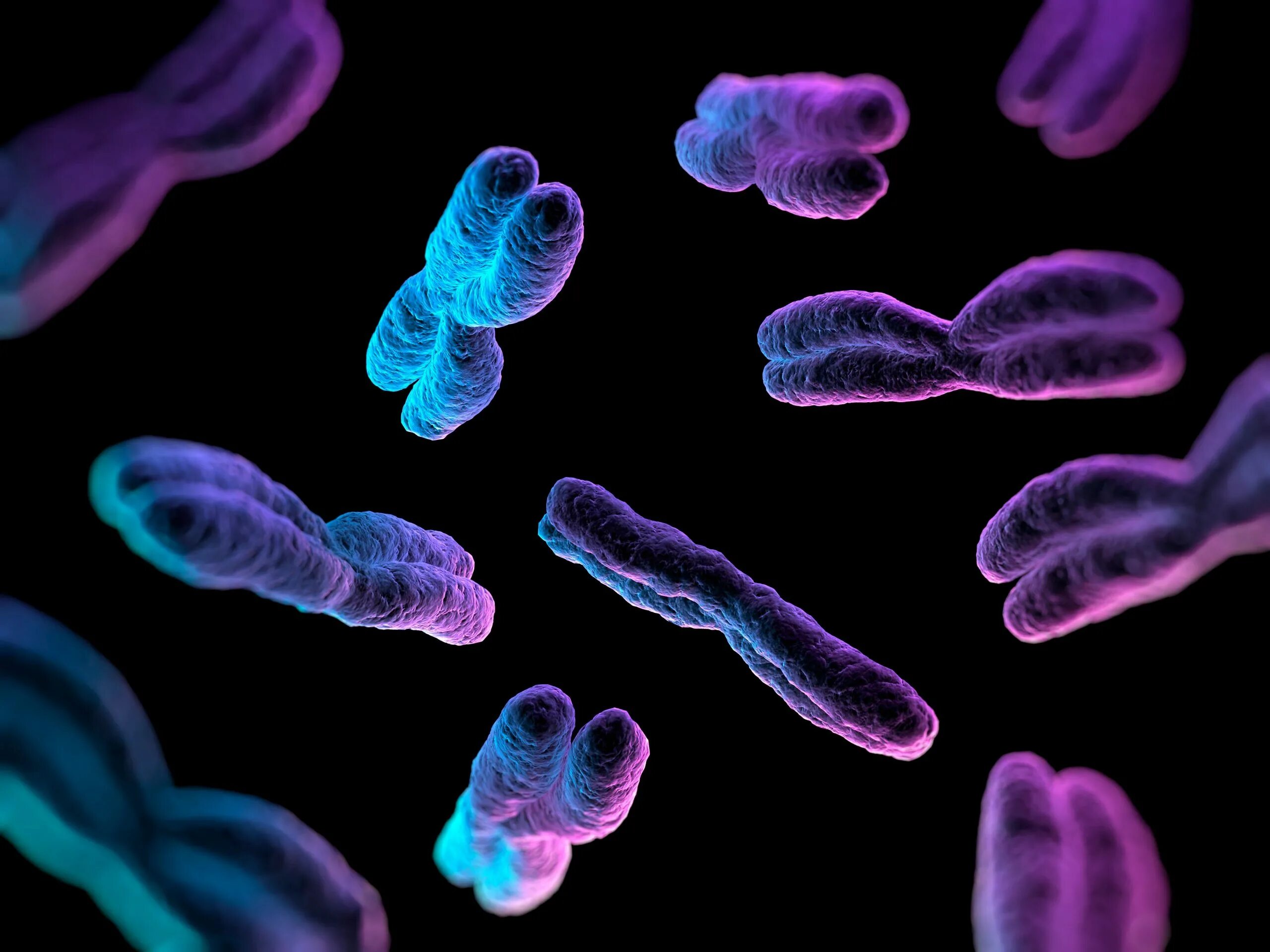 Удвоение хромосом какая мутация. Хромосомы. Хромосомы человека под микроскопом. Красивые хромосомы. Клеточные мутации.