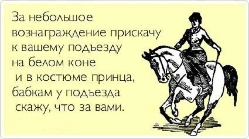 Принц на белом коне прикол. Шутки про принца на белом коне. Анекдот про принца на белом коне. Шутки про лошадей.