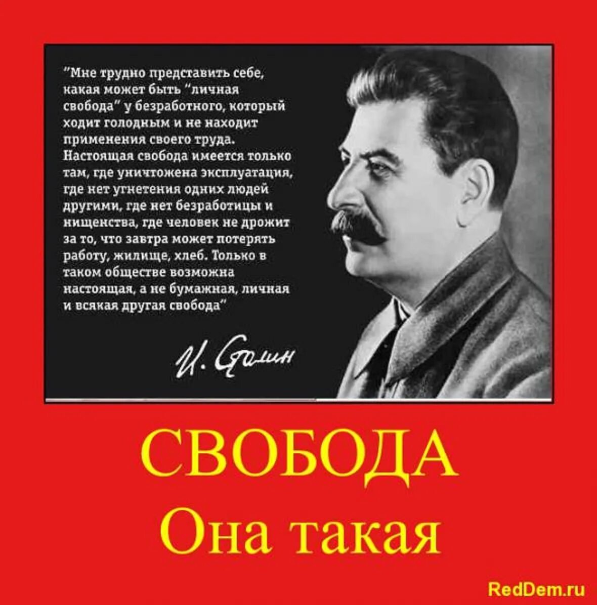 В ссср не было свободы. Иосиф Сталин. Высказывания Сталина. Фразы Сталина. Сталин о свободе человека.