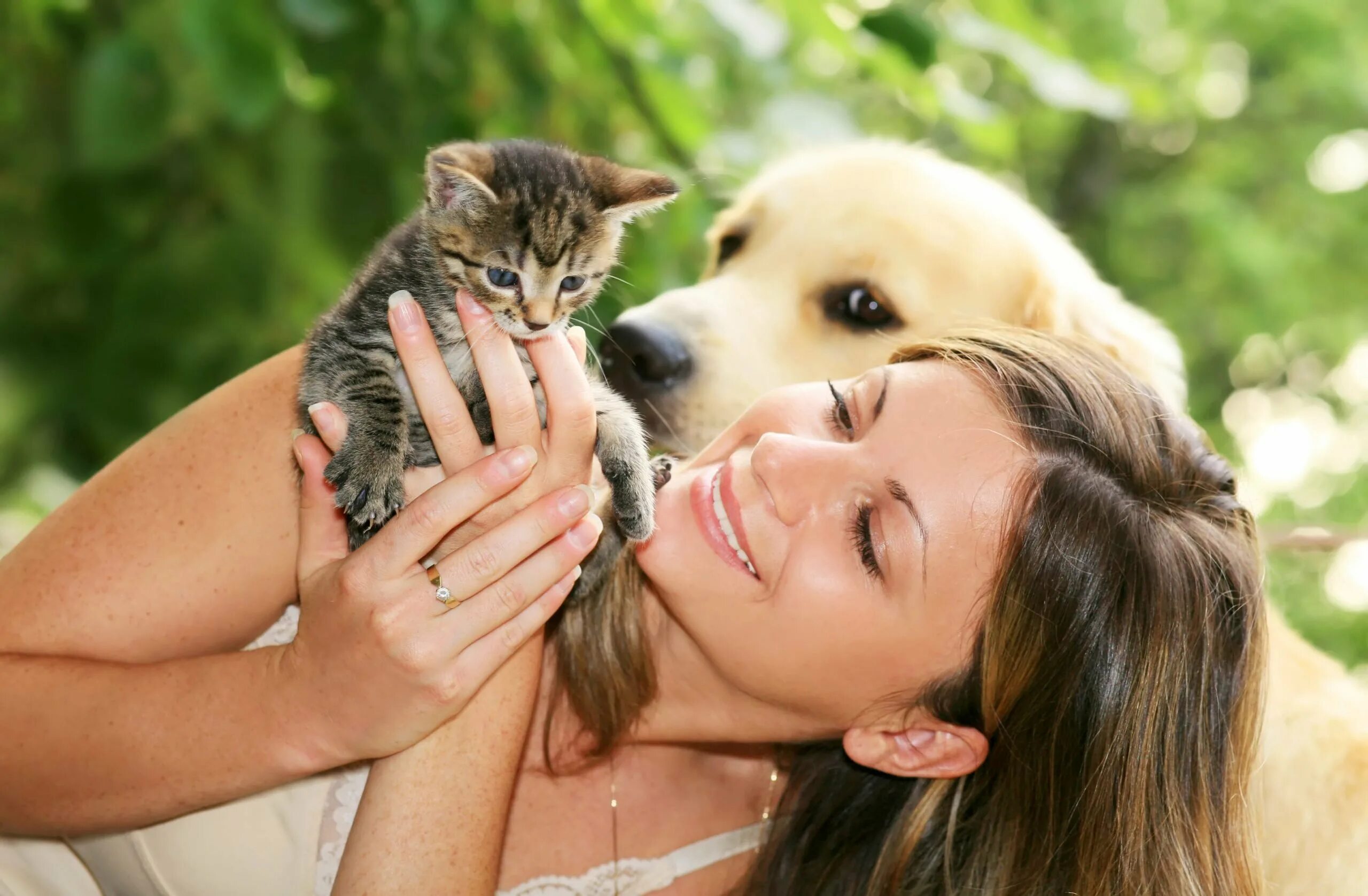 Домашние животные для детей. Заботятся 2. Мама кошка. Мама кошка и котенок. Для детей.