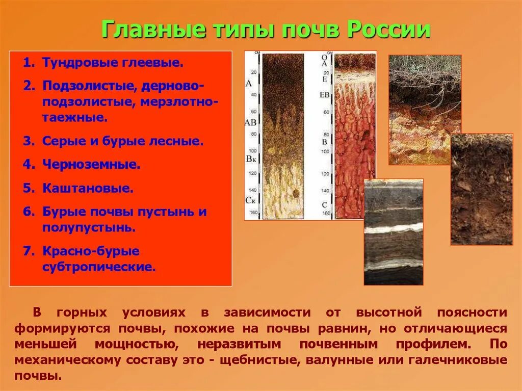 Почвы россии 4 класс 21 век презентация. Дерново-подзолисто-глеевые почвы. Типы почв чернозем подзолис. Типы почвы 8 класс география подзолистая почва. Типы почв Тундровая глеевая.