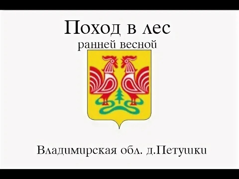 Погода в петушках на 10 дней владимирской. Петушки Владимирская область. Деревня Петушки Владимирская обл. Эмблема г.Петушки Владимирская область.