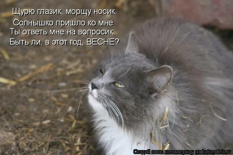 Давай уже встретимся. Журнал веселые картинки 1980. Наше солнышко. Солнышко частями. Сада.
