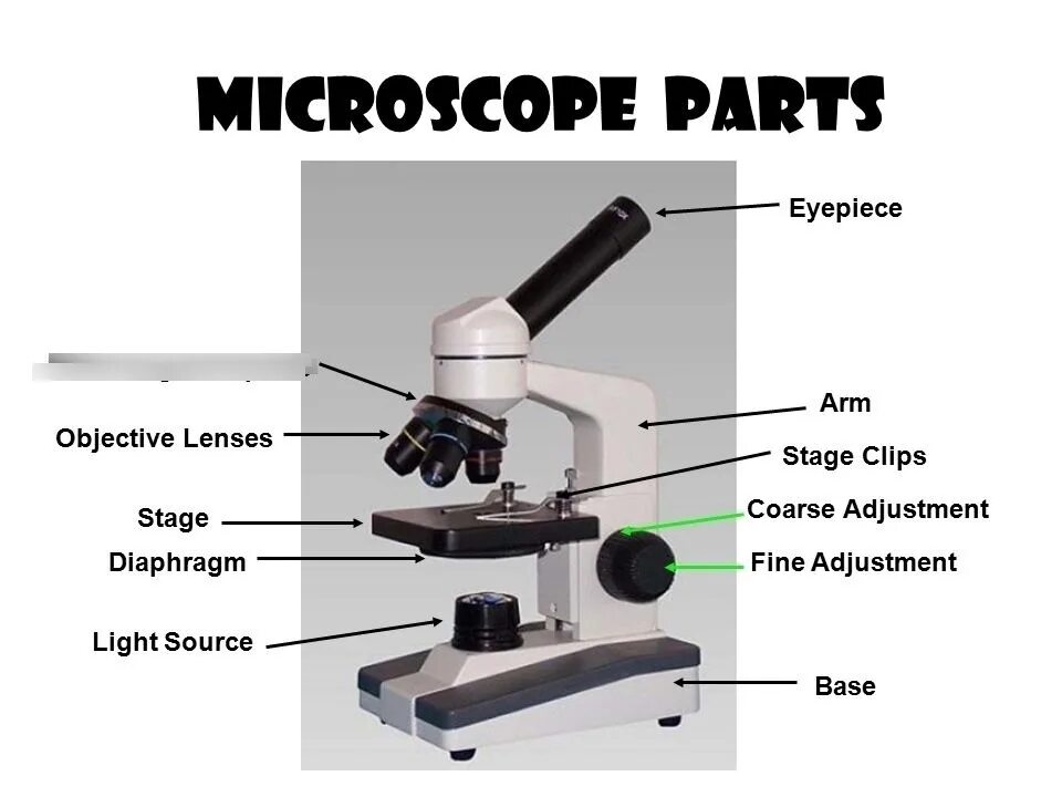 Анализ произведения микроскоп. Строение микроскопа конденсор. Микроскоп Icom Poland Scientific Microscope (7161069). Конденсор микроскопа Karl Zeiss. Микроскоп құрылысы.