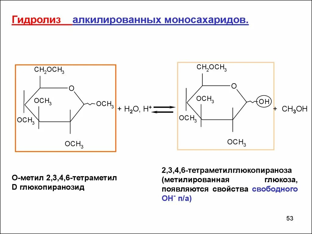 Метил 2 3 4 6 тетра о метил а d глюкопиранозид. Гидролиз о метил 2 3 4 6 тетраметил д глюкопиранозид. Щелочной гидролиз моносахаридов. Гидролиз моносахарида. Щелочной гидролиз глюкозы
