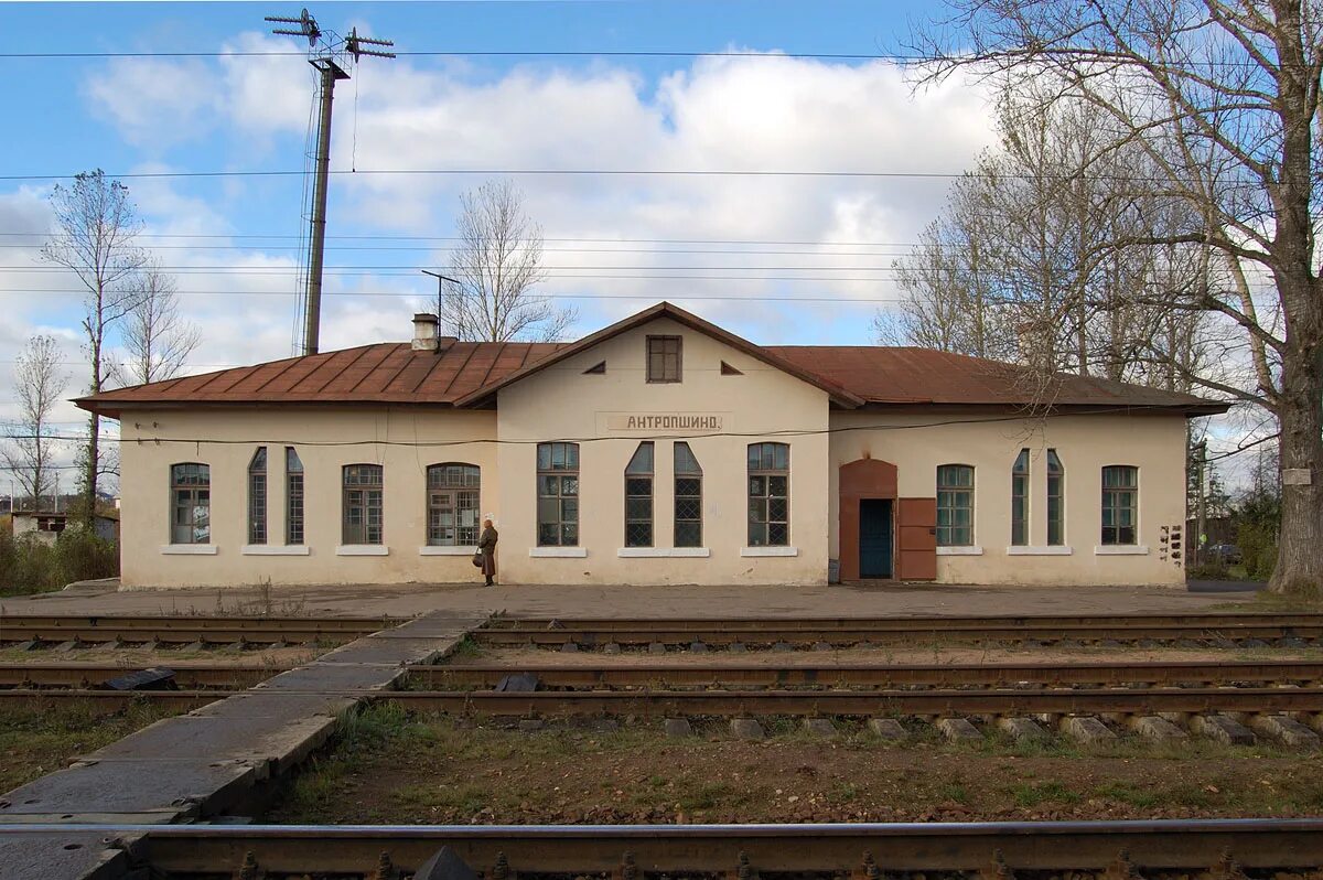 глазовка буда-кошелёвский район. коммунар гатчинский район фабрики. г р коммунары. дк коммунар ленинградская. старые фотографии город коммунара лен обл.