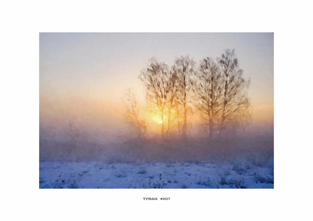 Утренняя тайга. Радиационный туман. Fog 7. Озеро в тумане. Туман.