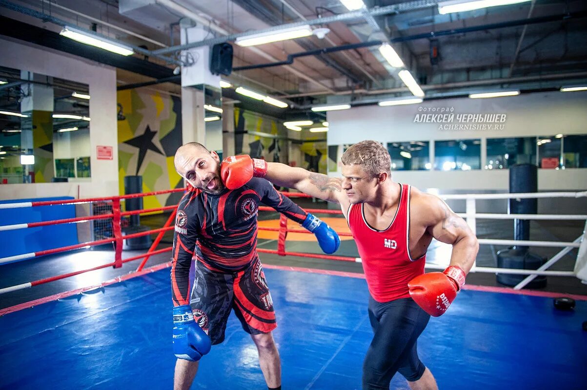 Чемпионат мира по боксу россия. 2020 боксер элиста семёнов. Академия бокса и борьбы в химках. Новости борьбы и бокса. Киселев алексей бокс челябинск.