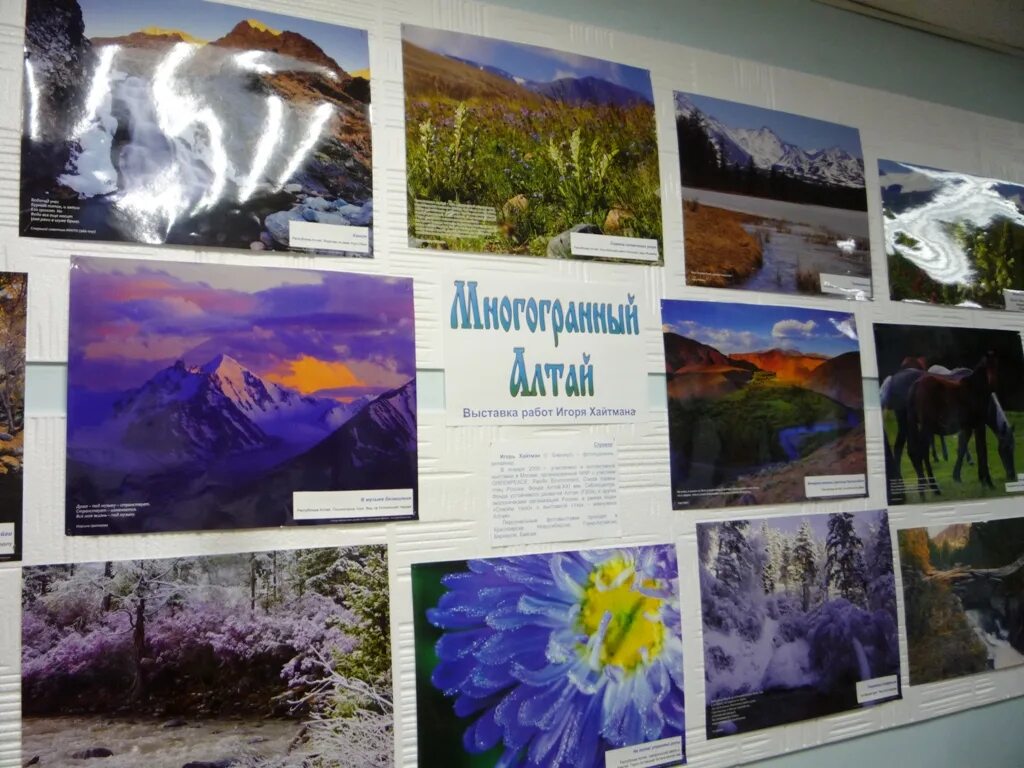 Белокурихинская городская библиотека, Белокуриха. Галерея простор Алтай. Выставка картин в Белокуриха. Выставка в библиотеке заповедники и парки Алтая и Республики Алтай.