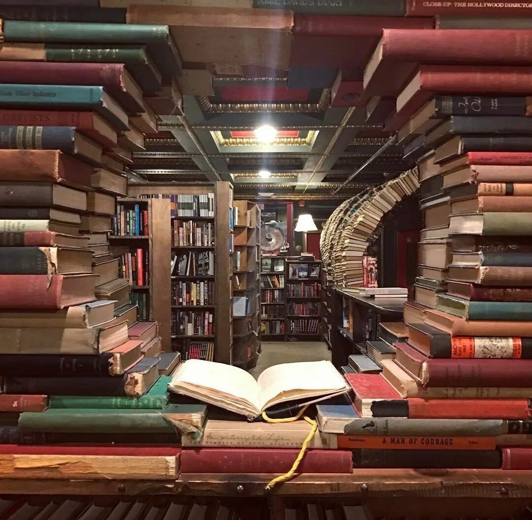 Все книги и их в библиотеке. Читатели в библиотеке. Все книги и их в библиотеке. Книга библиотека. Подари книгу библиотеке.