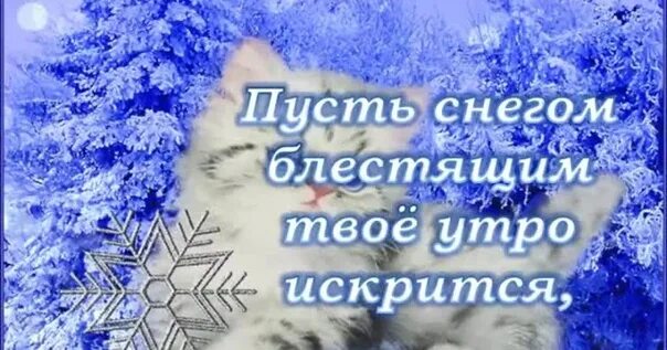 Доброе утро зимней пятницы. Доброе утро пятница декабрь. доброе зимнее утро пятницы. с добрым зимним утром пятницы. доброе утро пятница зима.