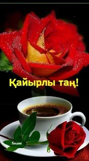 Лиза порно видео