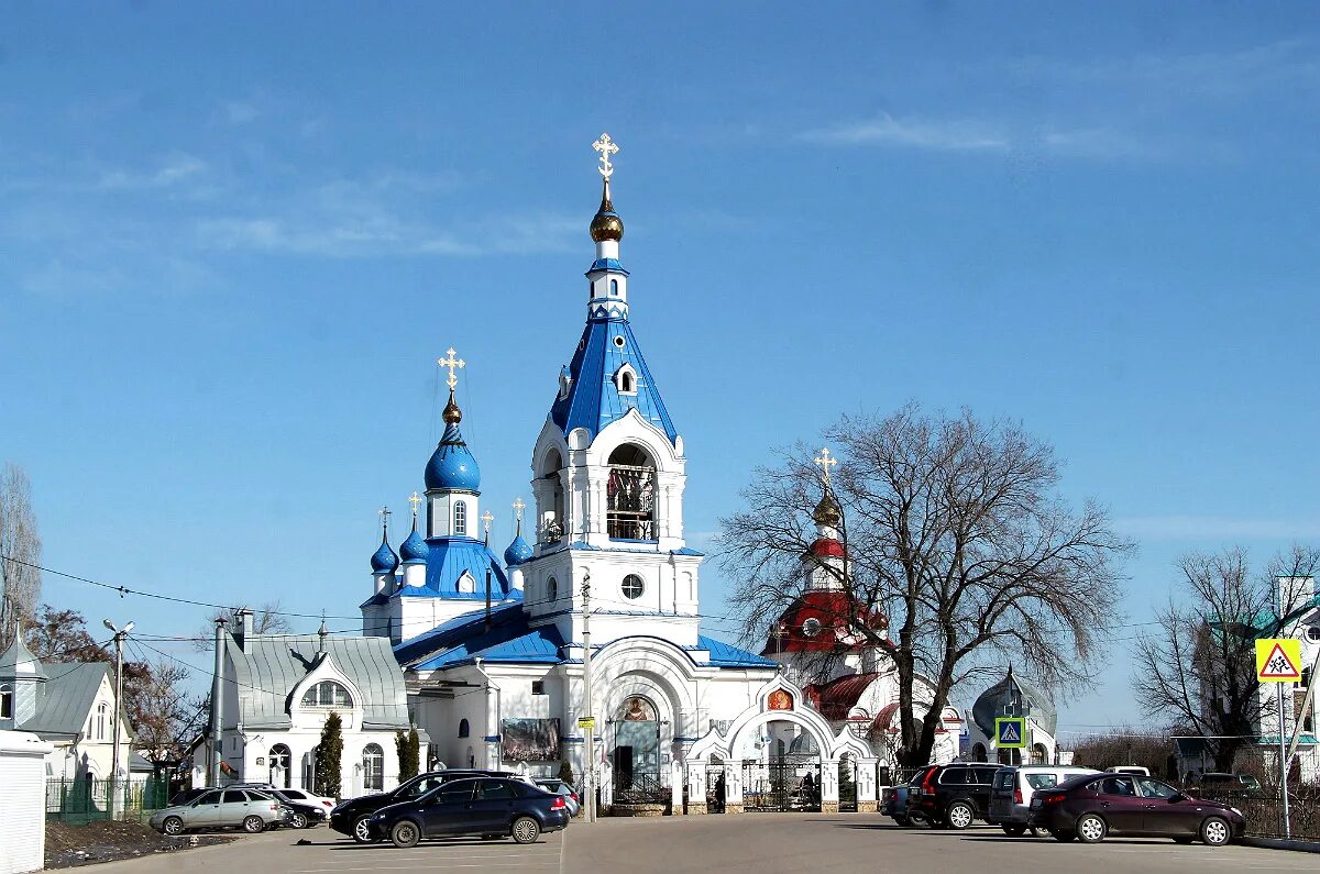 Храм Покрова Отрадное Воронеж. Храм Покрова Пресвятой Богородицы в Отрадном Воронеж сайт. Воронежская область Новоусманский район с.Отрадное храм. Храм Пресвятой Богородицы Отрадное Воронеж. Отрадное воронеж сайт