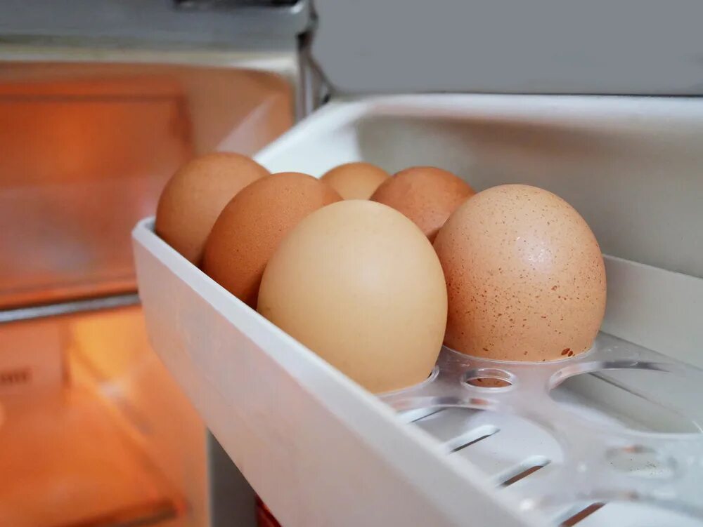 There are some eggs in the fridge. Eggs in the Fridge. Put the Eggs in Gus' Fridge. The Eggs are in the Fridge. Fridge with Eggs.