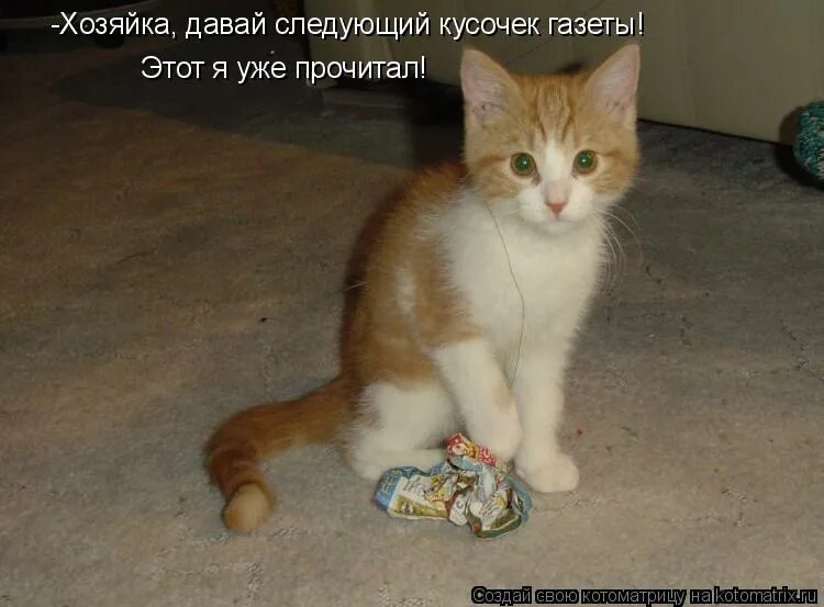 фото поиграй со мной. зуб даю. понятно что ничего не понятно. здесь уже ничего не исправить. фантик на ниточке.