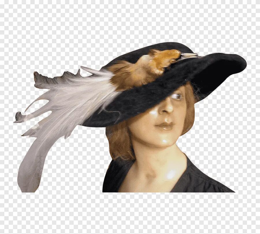 Животные шляпа. Шляпы эдвардианской эпохи. Касторовая шляпа. Касторовые шляпы с перьями. Птица в шляпке.