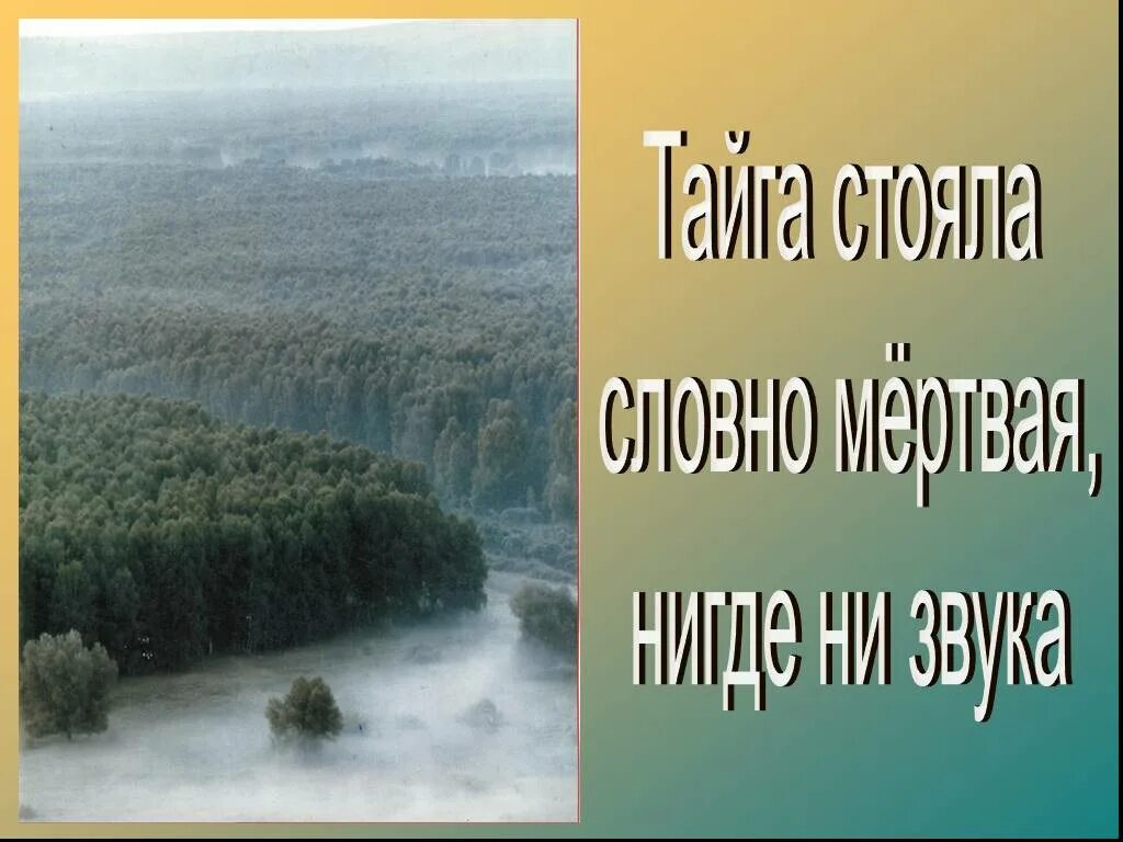Тайга стояла тихая и смурная. Тайга стояла тихая. Тайга стояла тихая и смурная уж и проснувшись вступив. Гдз по русскому языку 7 класс баранов ладыженская тростенцова. Тайга стояла тихая.