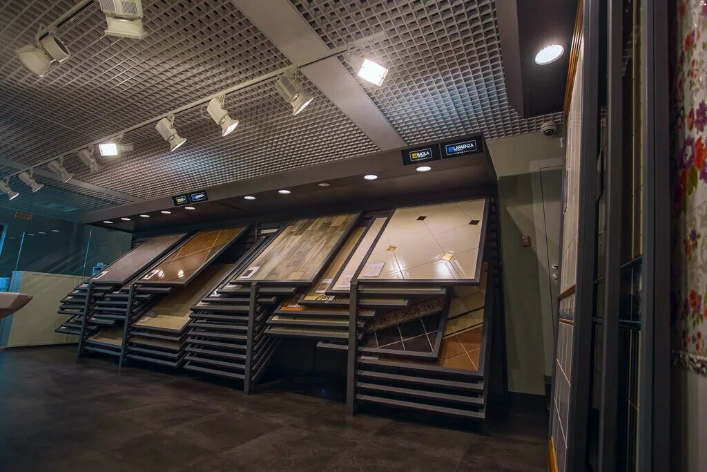 Сквирел. Липецк улица циолковского 15 сквирел. Сквирел курск. Сквирел орел. Улица ольшанского курск.