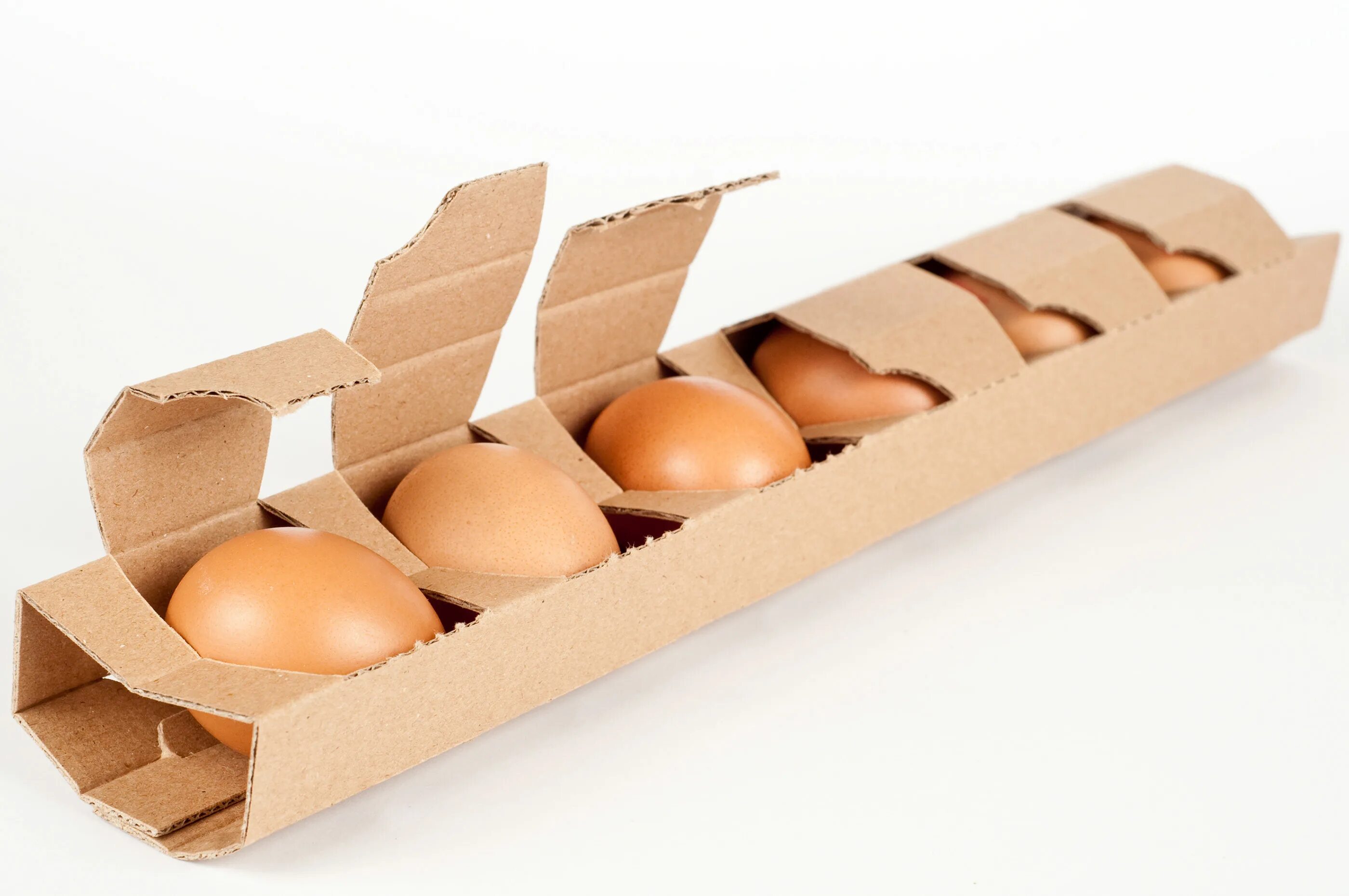 Упаковка для яиц купить. Упаковка для яиц. Необычная упаковка для яиц. Картонная коробка для яиц. Картонная упаковка для яиц.
