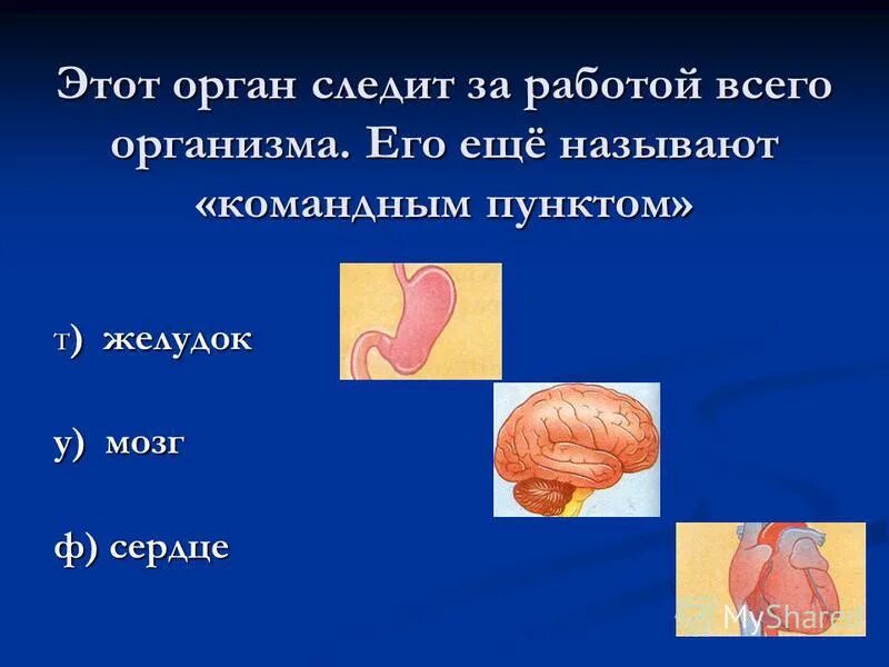 Какой орган человека работает без выходных. Органы чувств человека и их основные функции. Формы государства тгп таблица. Зубы взаимосвязь с внутренними органами. Какой орган растет всю жизнь.