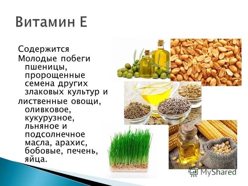 Химическая формула муки пшеничной. Содержание витаминов и минеральных веществ в муке пшеничной. Проект школа кулинаров. Питательные вещества в крупах. Витамины в пророщенной пшенице таблица.