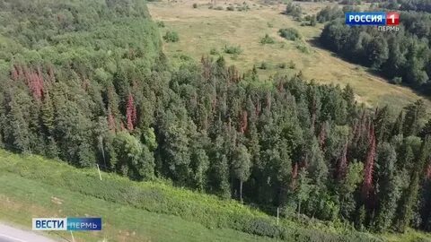 Ведомой территории
