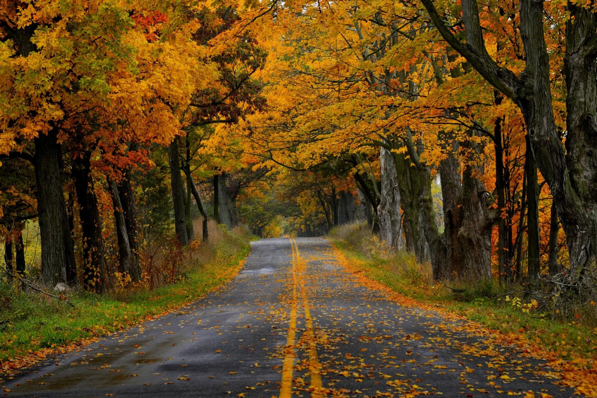 Hot autumn