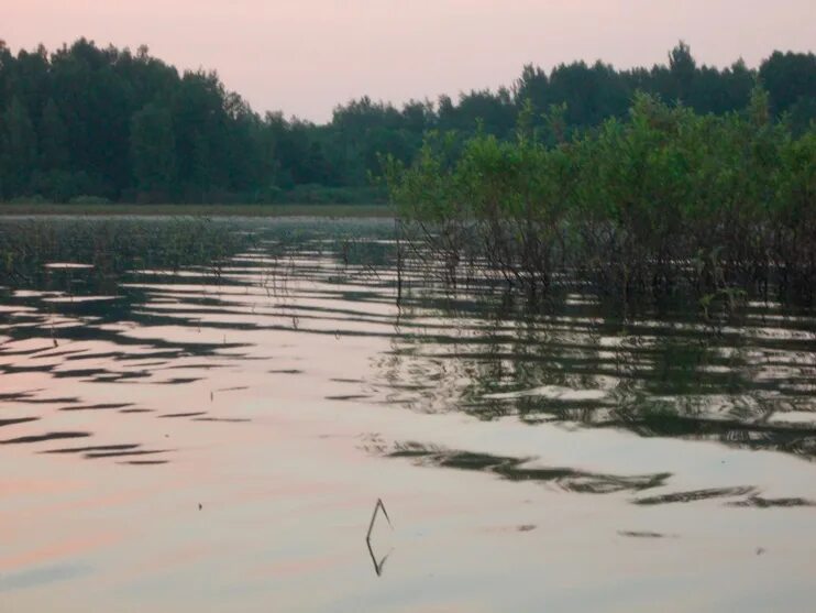 В озерах открылась. Озеро дорожив. Пригородный Оренбург озеро. Озеро Открой. Озера Пригородный вышнийволоцкий.