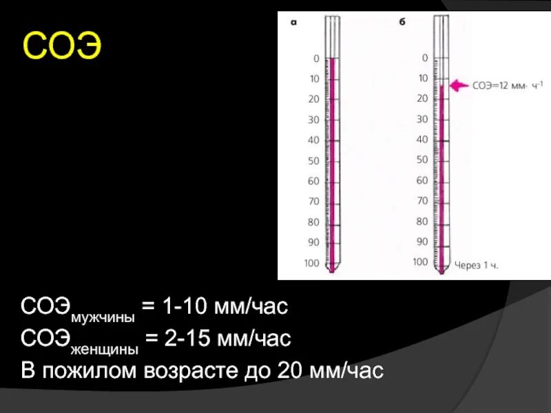 Сое час