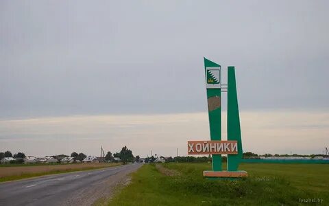 Г хойники
