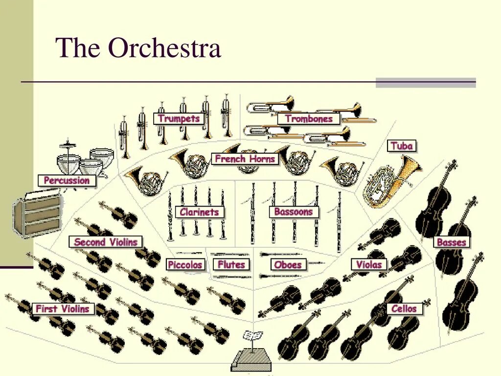 Orchestra instruments. Рассадка симфонического оркестра схема. Схема рассадки инструментов в симфоническом оркестре. Схема размещения муз. Инструментов в симфоническом оркестре. Состав симфонического оркестра Гайдна.