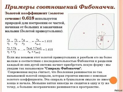 Пропорции цифры 1