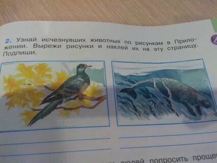 Определить исчезнуть