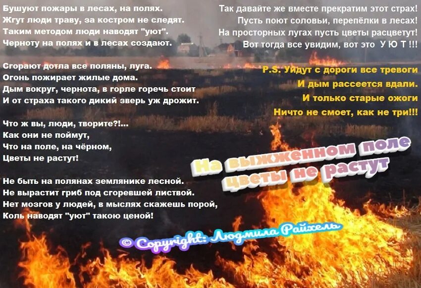 Песня не вырастут цветы на выжженной