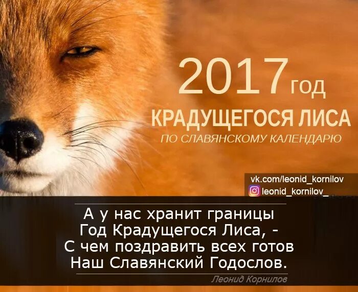 лис по славянскому календарю характеристика человека. лис по славянскому календарю характеристика человека. крадущийся лис по славянскому гороскопу. славянский гороскоп крадущийся лис. славянский гороскоп животных.