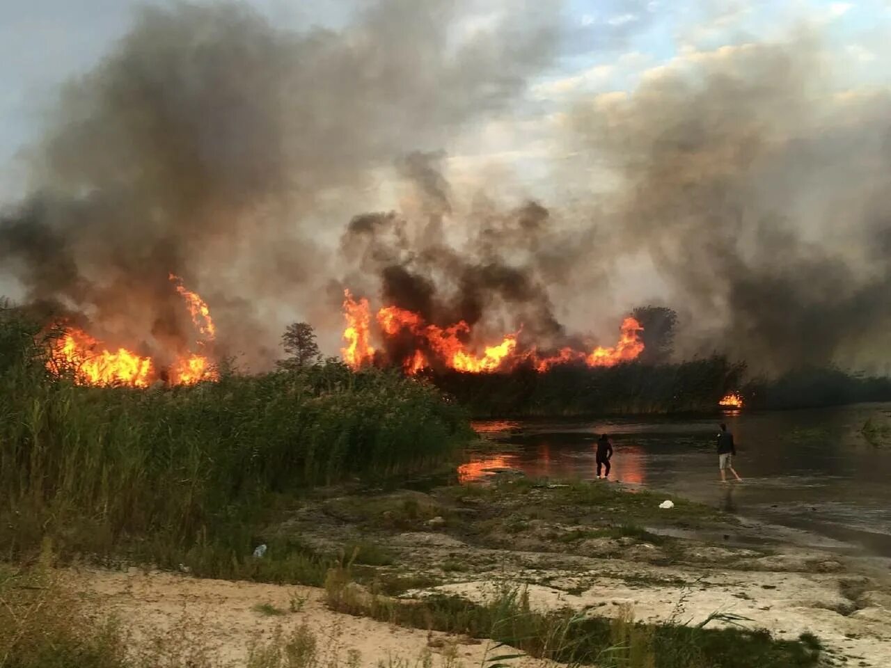 Крупные пожары последних лет. Пожар бобровский район. пожар в воронежской области бобровский район. пожары лесов. горящая река.