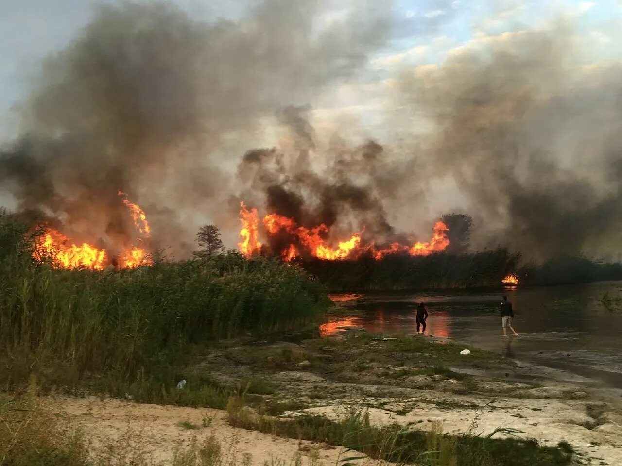 Пожар в Бобровском районе. Воронежская область Бобровский район пожар. Пожары лесов. Пожары в Воронежской области.