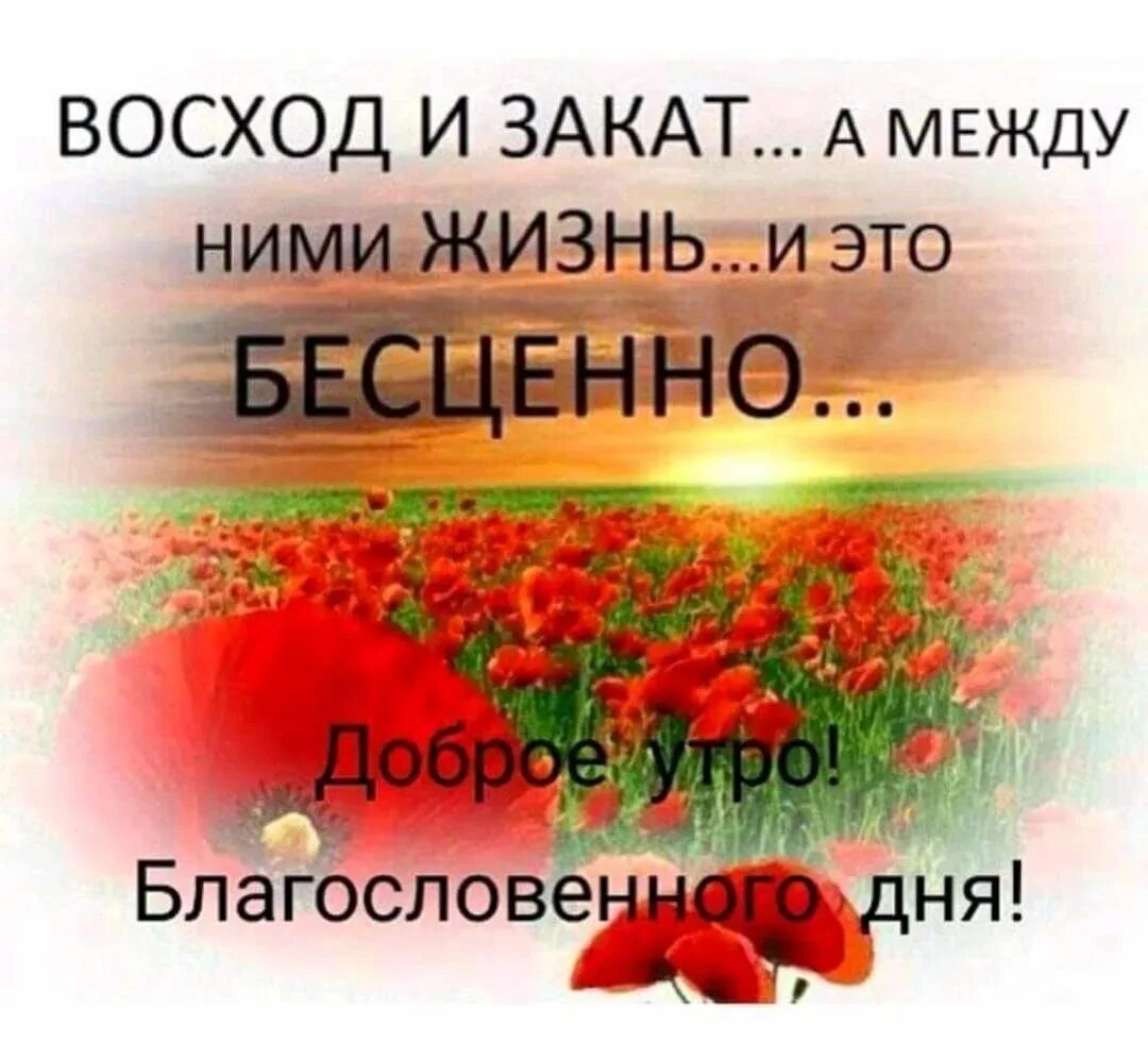 Открытка благословенного доброго утра и хорошего дня. Доброе утро и божего благословение. доброе утро благословенного дея. доброго утро благословного дня. христианские пожелания с добрым утром.
