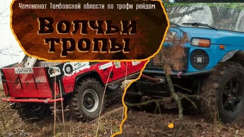 Волчья тропа тамбов 2024